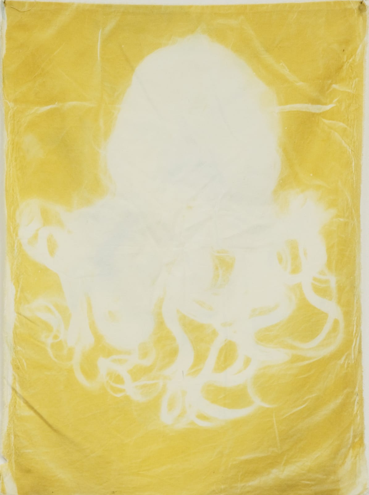 Sofia Mesa, Untitled, 2022