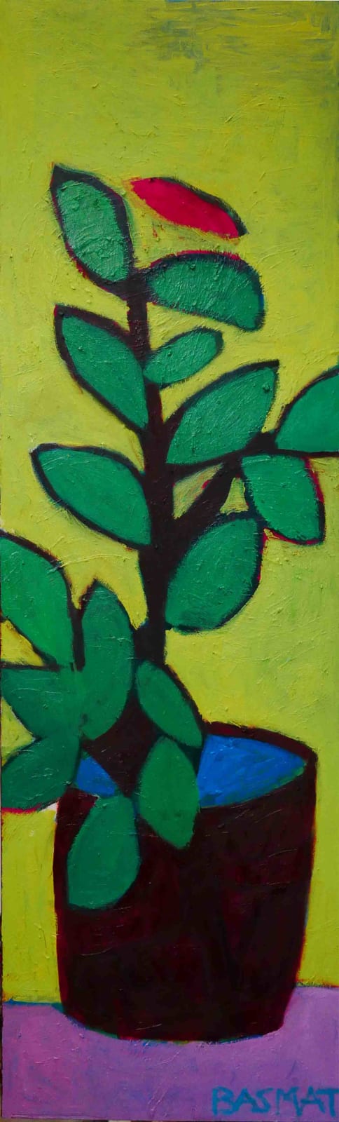 Basmat Levin, Plant in the Sun