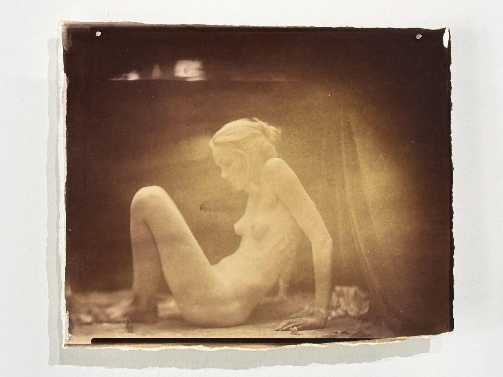 Hal Hirshorn, Untitled, c. 2000–2025