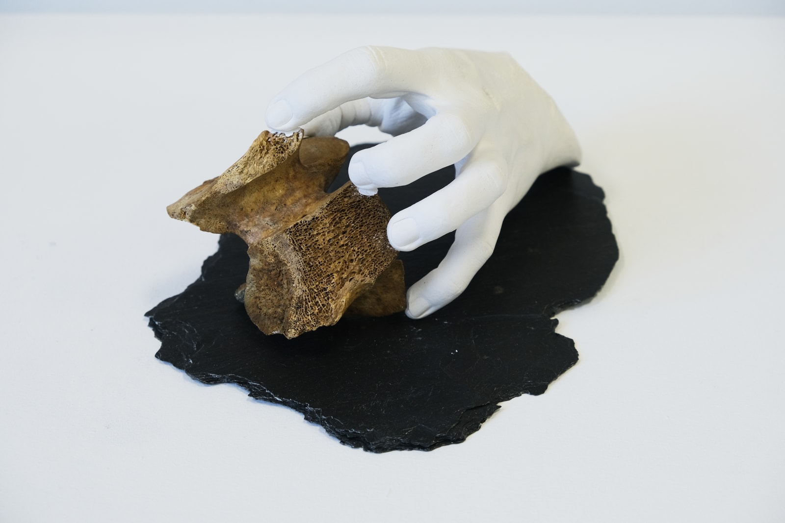 Alison Mcnulty, Mineral Reciprocity, 2019