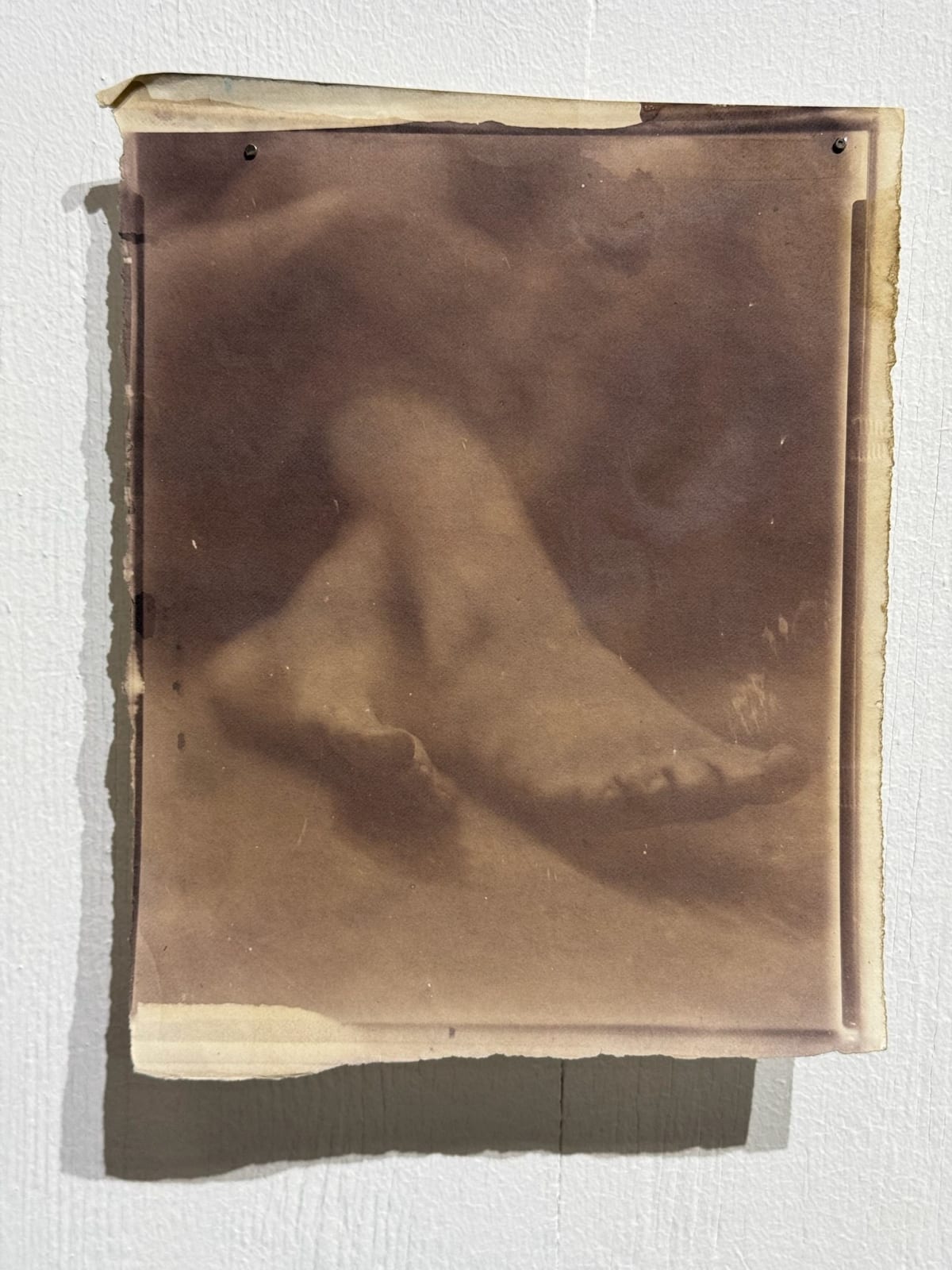 Hal Hirshorn, Untitled, c. 2000–2025