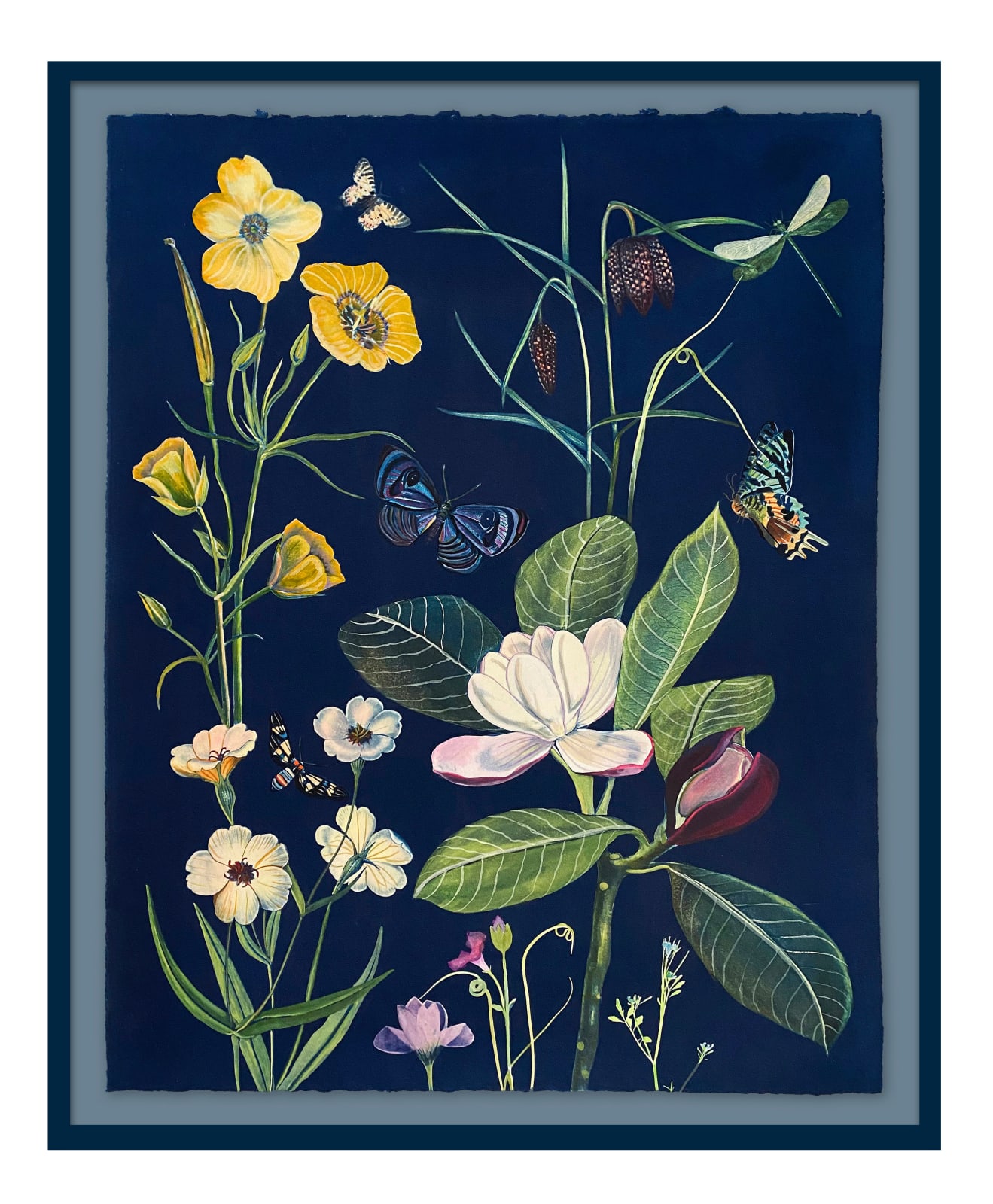 Julia Whitney-Barnes, Cyanotype Painting (Magnolia, Buttercups, Fritillaria, Pollinators, etc), 2021