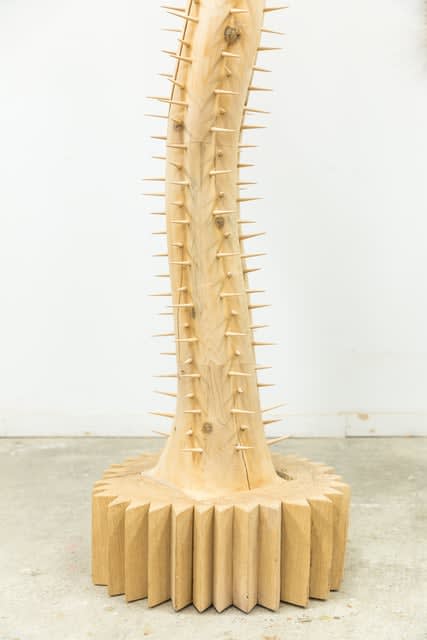 Raul De Lara, My friend accidentally killed a Saguaro in New York City, 2021