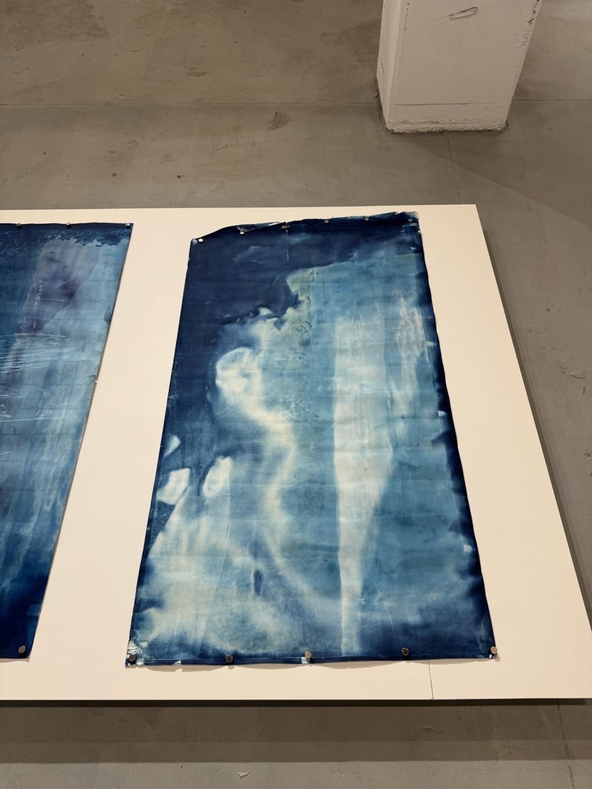 Hal Hirshorn, c. 2000–2025