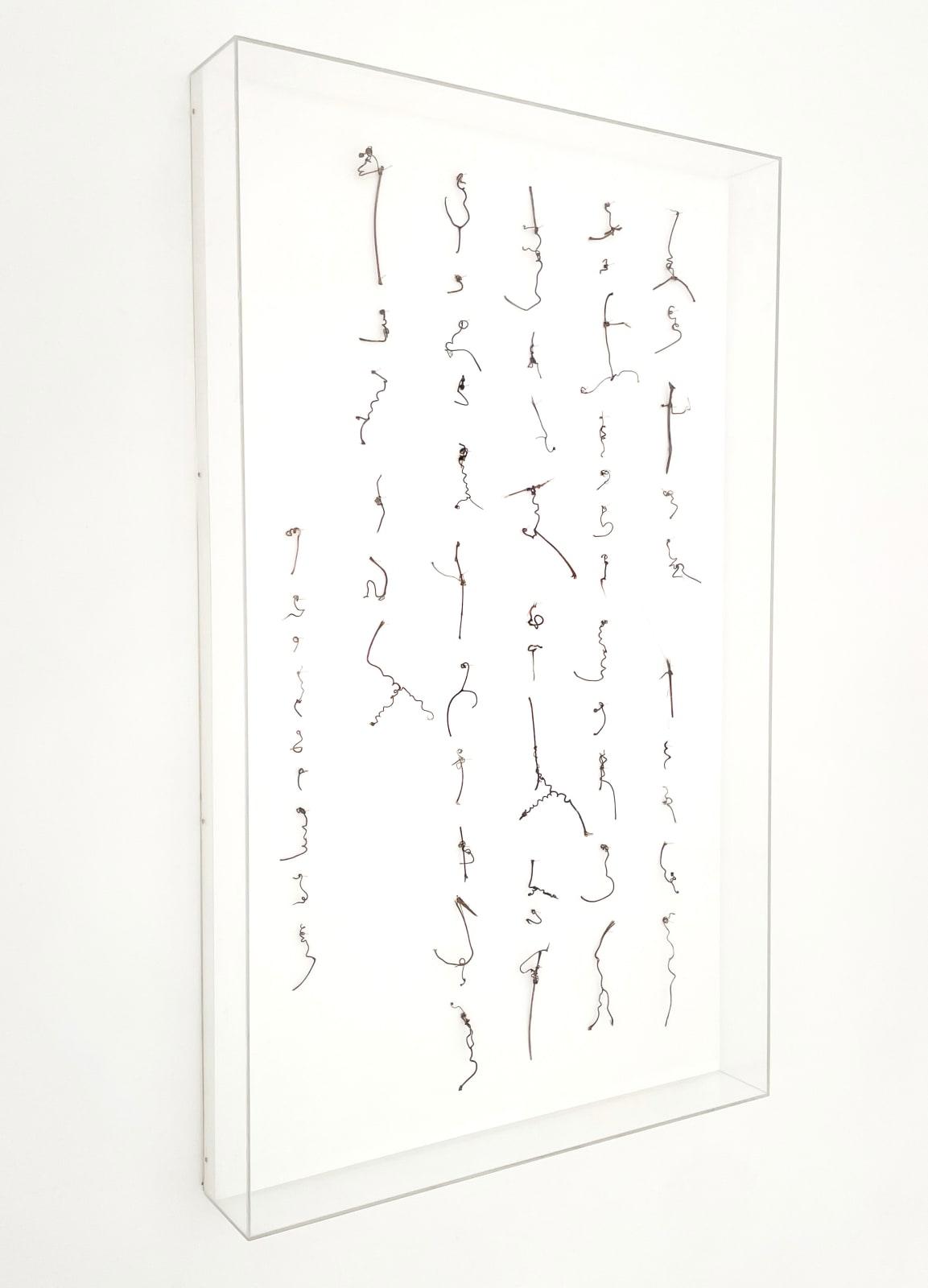 Cui Fei, Tracing the Origin, 2006