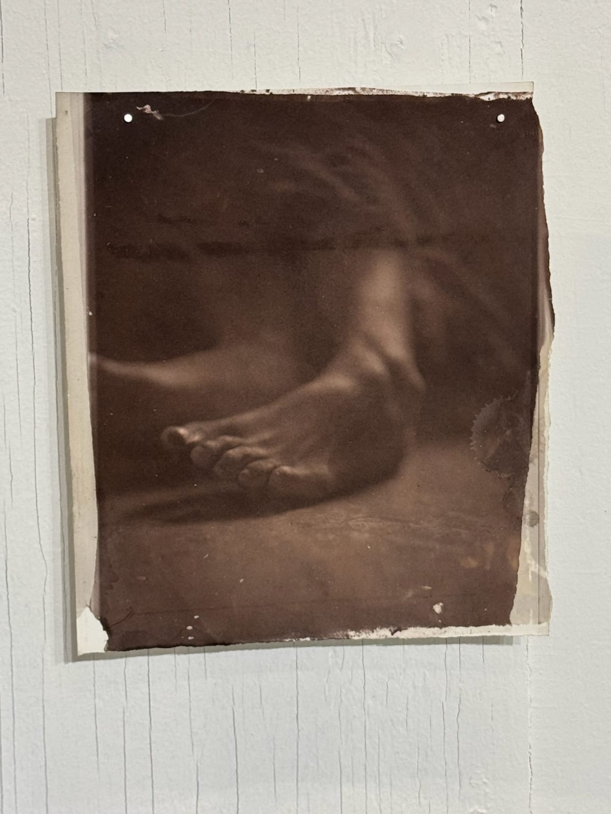 Hal Hirshorn, Untitled, c. 2000–2025