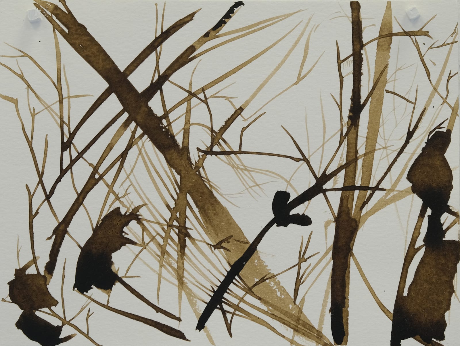 Kate Harding, Untitled (Zero Foot Hills #11, 2022