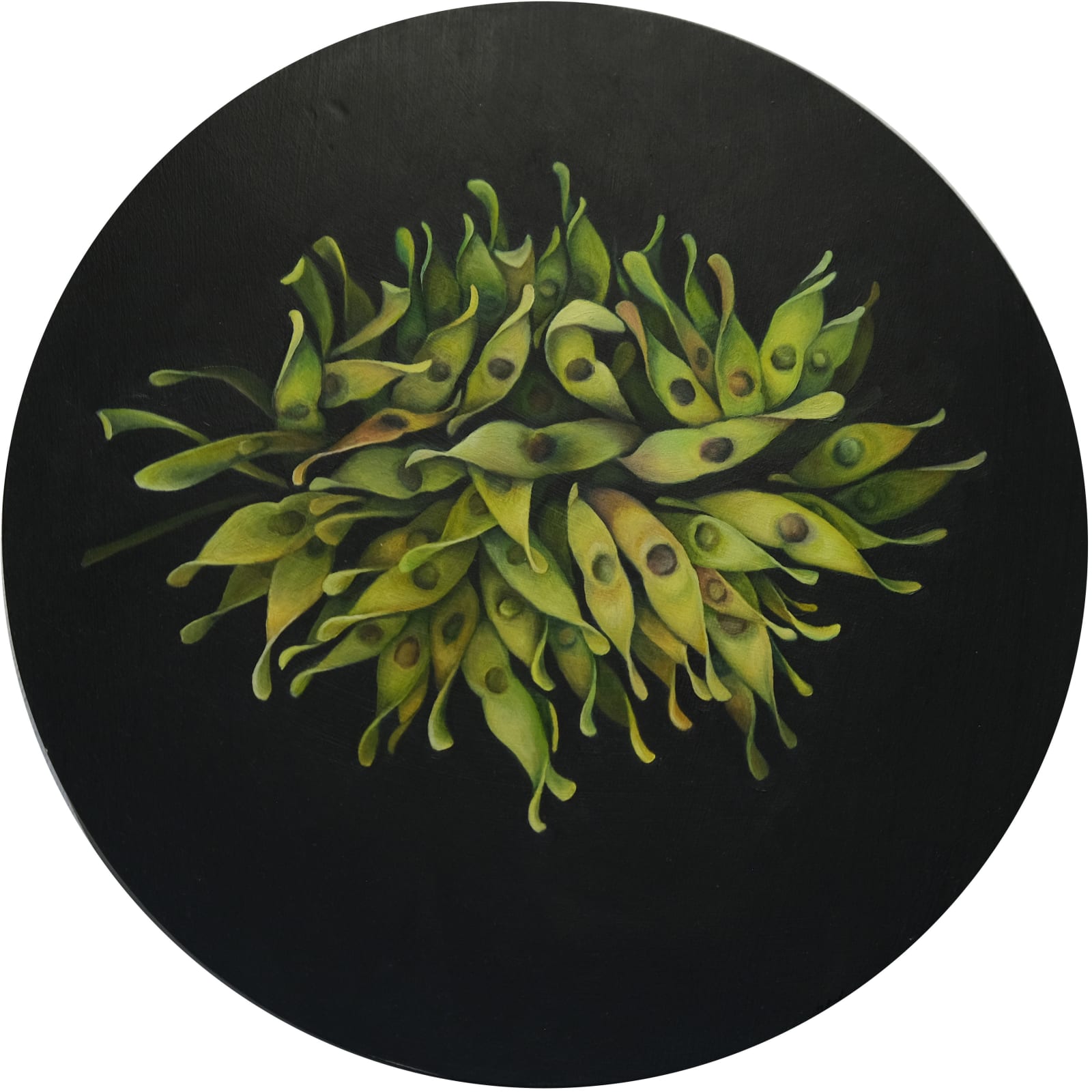 Jackie Skrzynski, Tree of Heaven, 2019