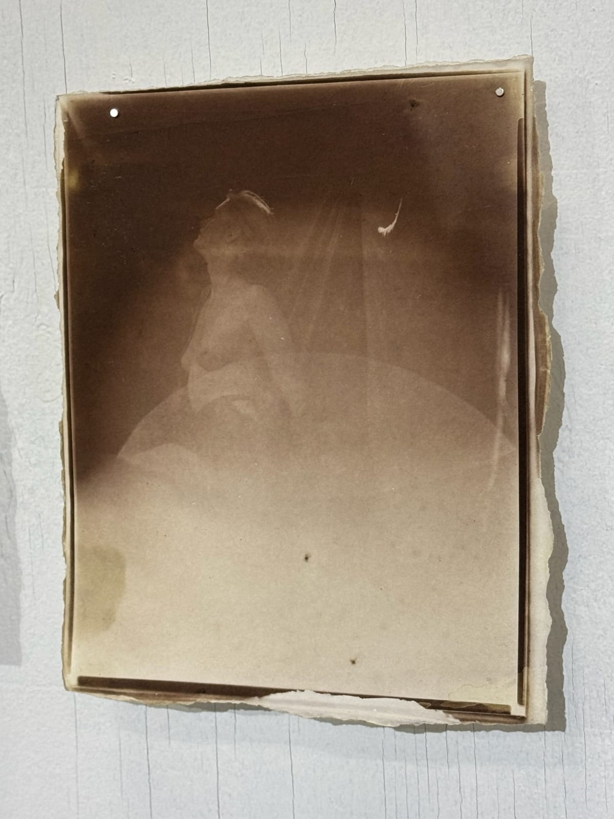 Hal Hirshorn, Untitled, c. 2000–2025