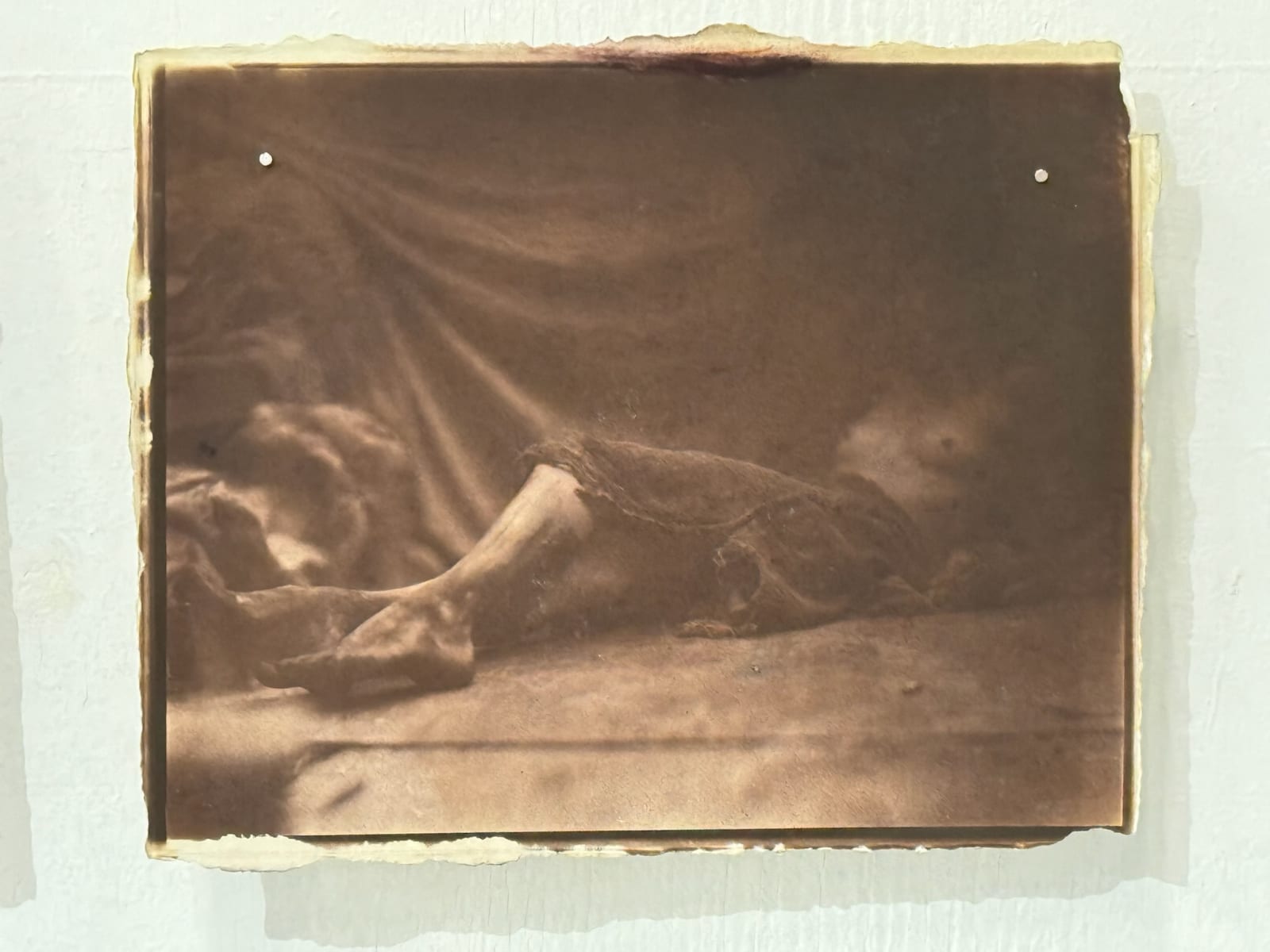 Hal Hirshorn, Untitled, c. 2000–2025