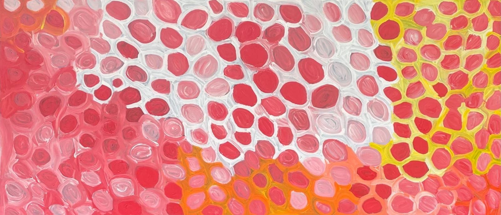 Amanda Jane Gabori Dibirdibi, Kombali , 2011