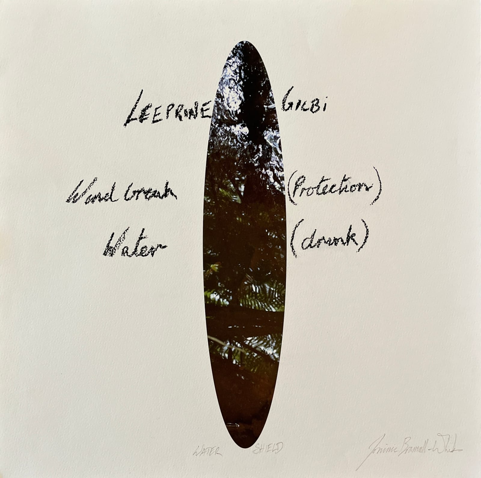 Dominic White, Leeprine Gilbi (Windbreak Water), 2017