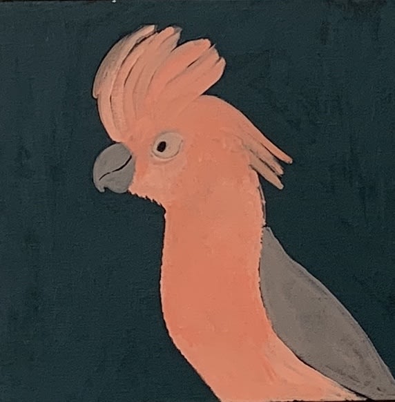 Wilma Napangardi Poulson, Birds that live around Yuendumu, 2020