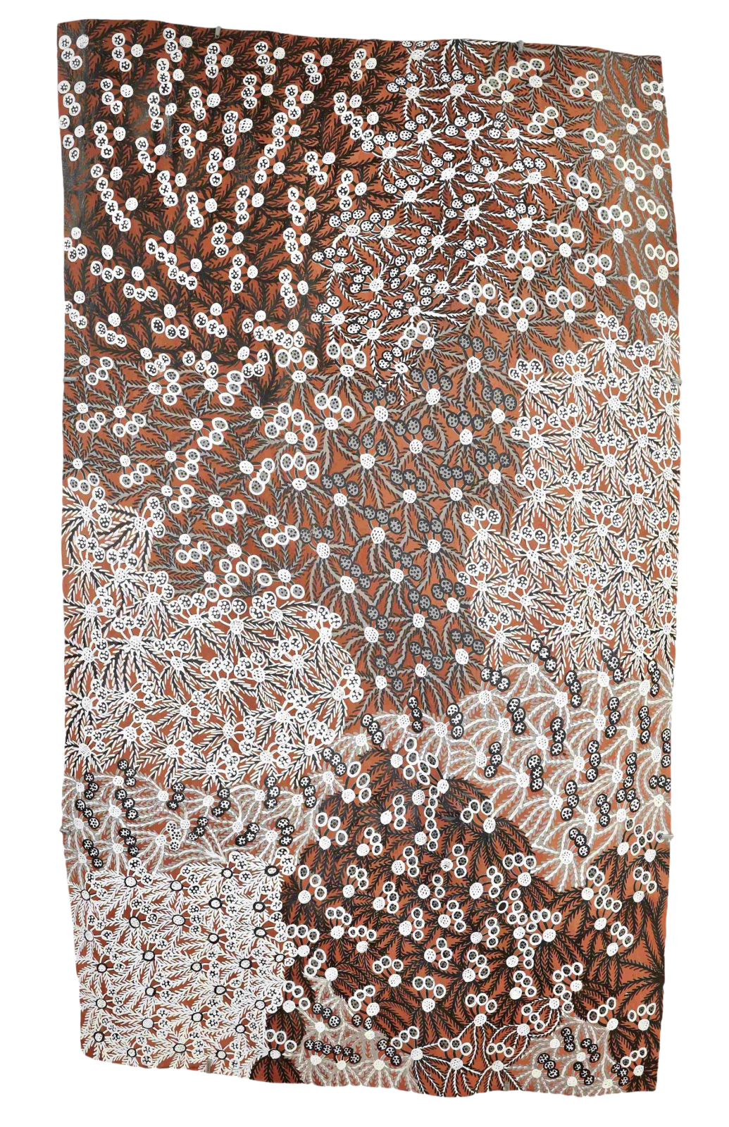 Muluymuluy Wirrpanda, Buḻwutja (Muluymuluy), 2021