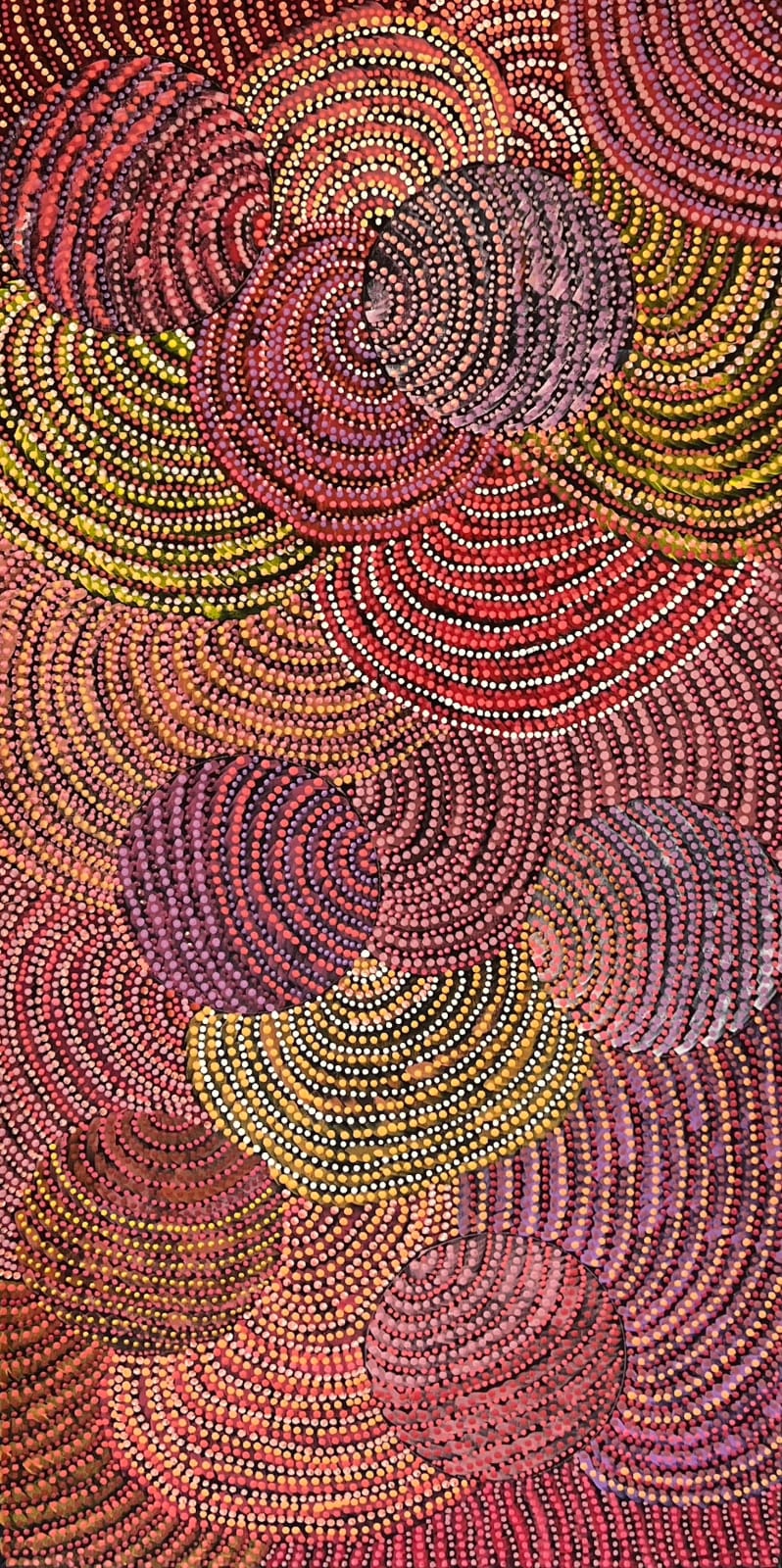 Grace Napangardi Butcher, Pikilyi Jukurrpa (Vaughan Springs Dreaming), 2023