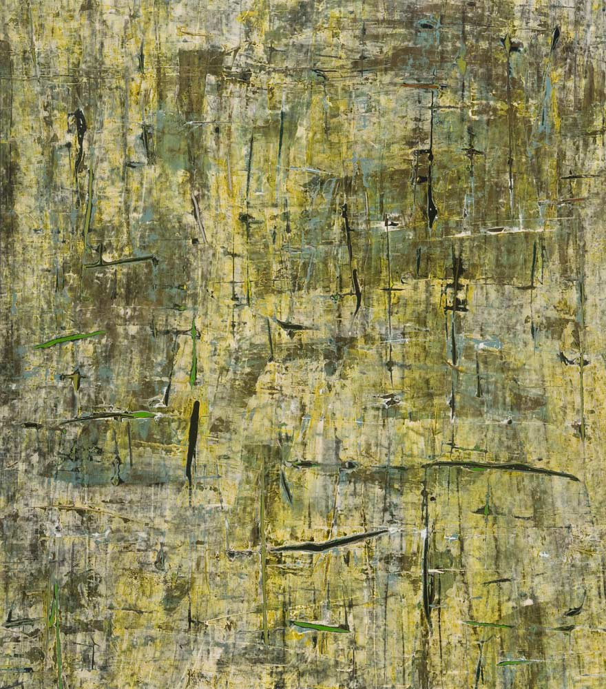 Claudine Marzik, Far North