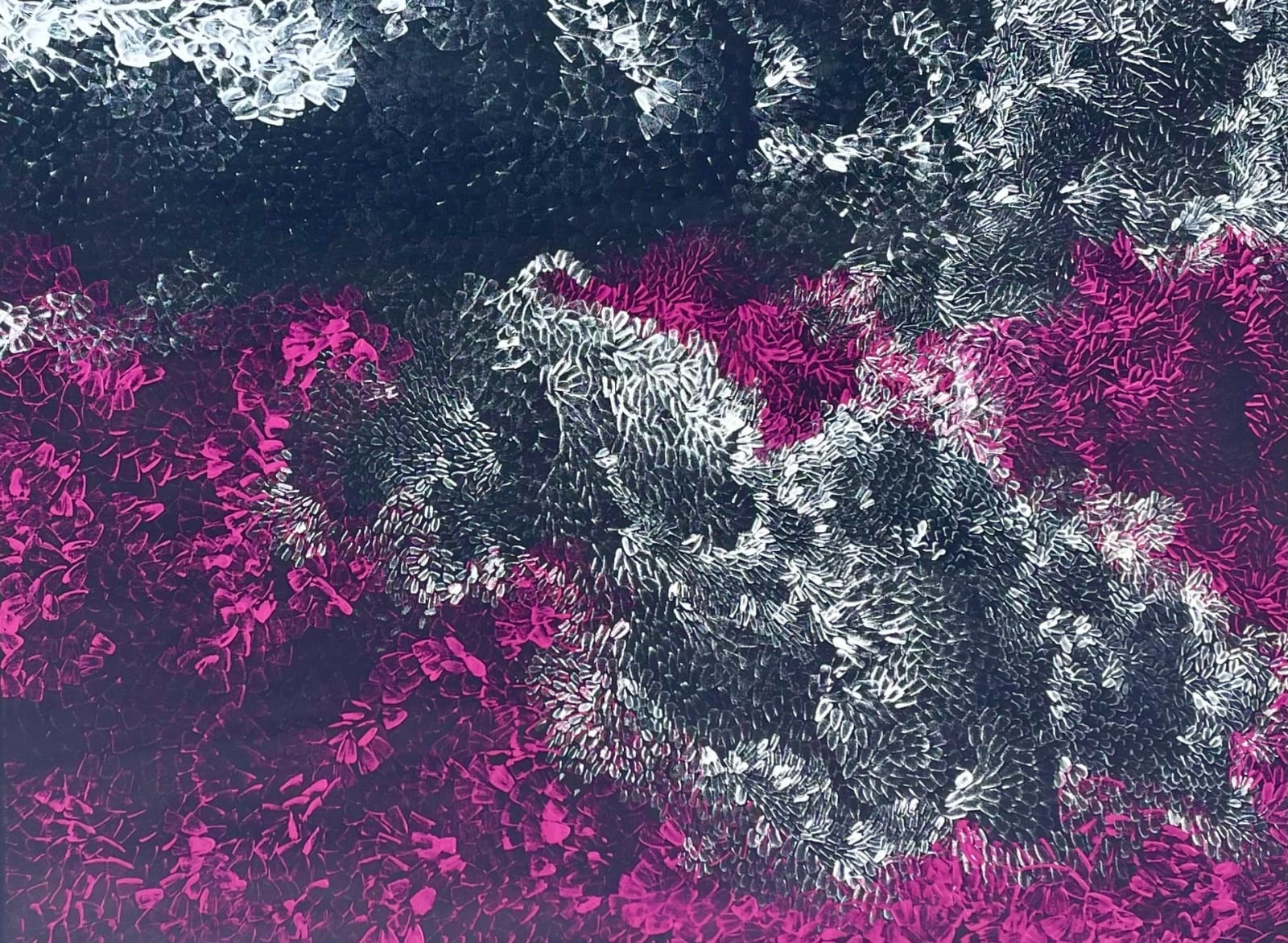 Amanda Jane Gabori, Dibirdibi Scales, 2017