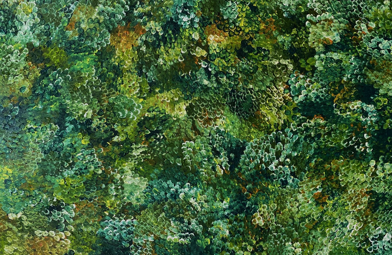 Belinda Golder Kngwarreye, Bush Plum , 2025