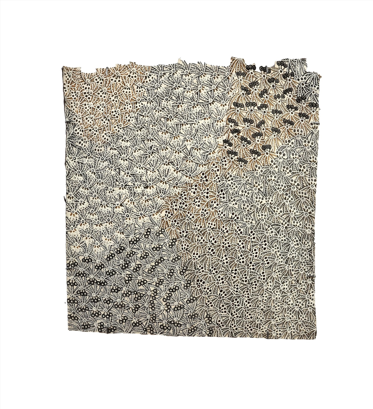 Muluymuluy Wirrpanda, Buḻwutja, 2024