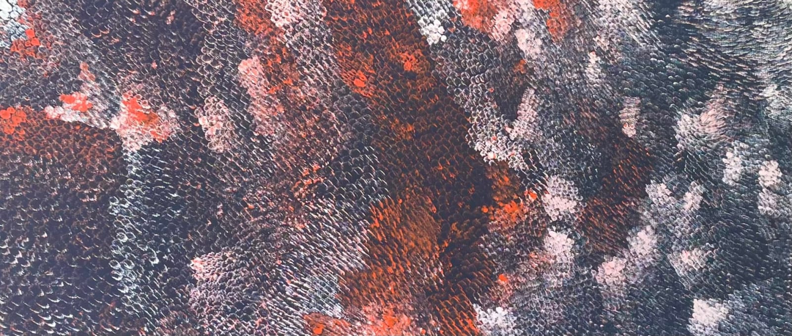 Amanda Jane Gabori Dibirdibi, Dibirdibi Scales, 2020