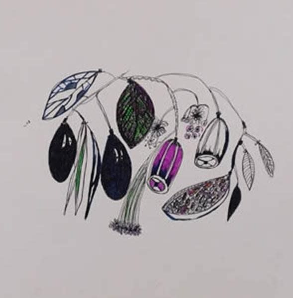 Patsy Mudgedell, Bush Tucker, 2018