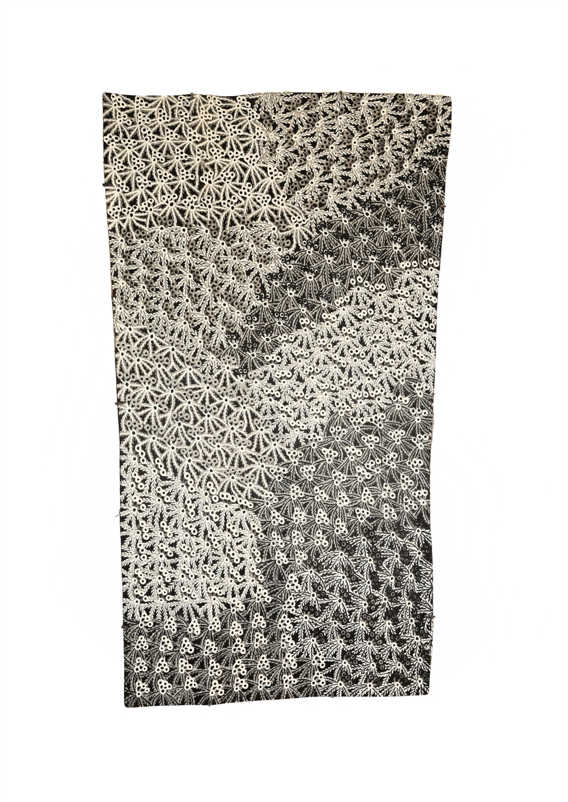 Muluymuluy Wirrpanda, Buḻwutja, 2024