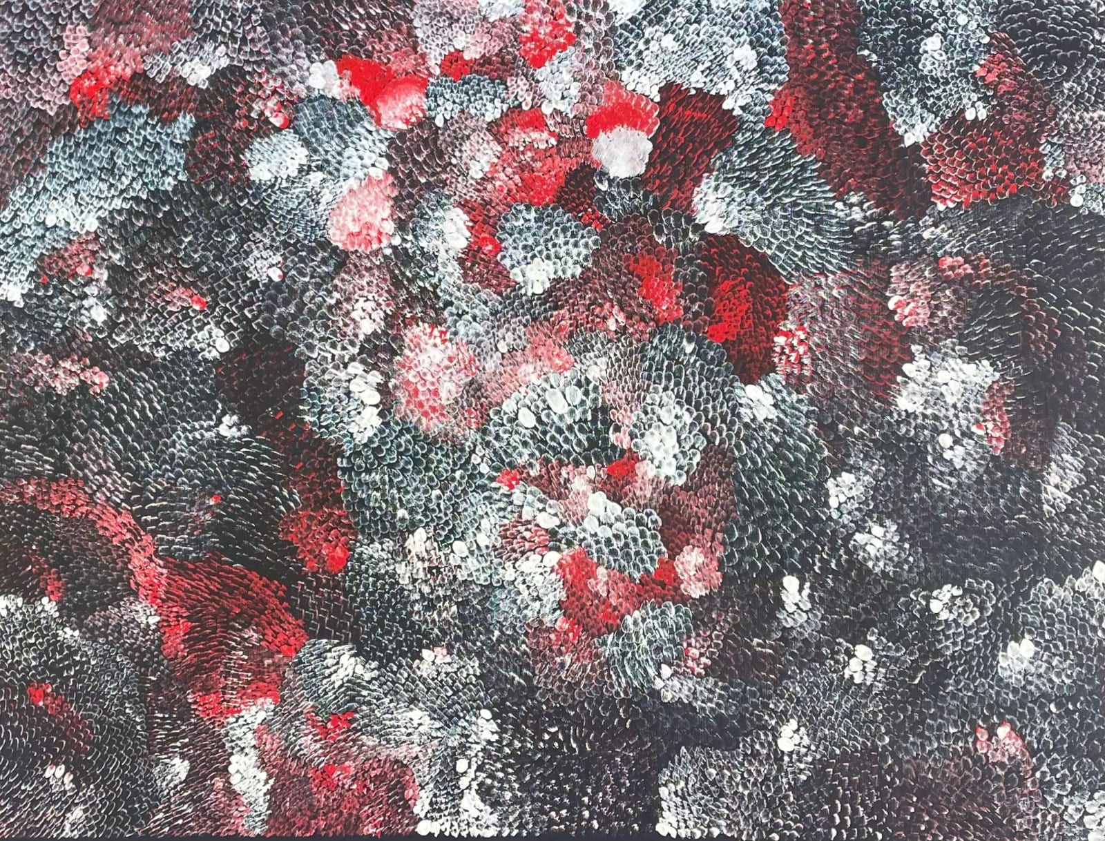 Amanda Jane Gabori, Dibirdibi Scales, 2019