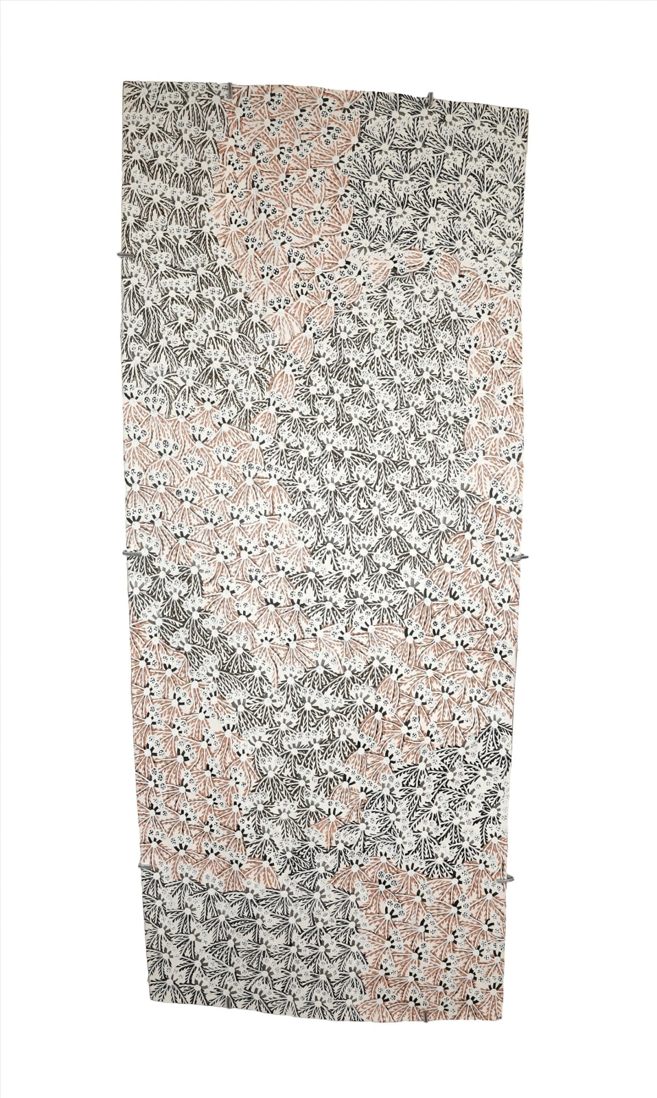 Muluymuluy Wirrpanda, Buḻwutja, 2025