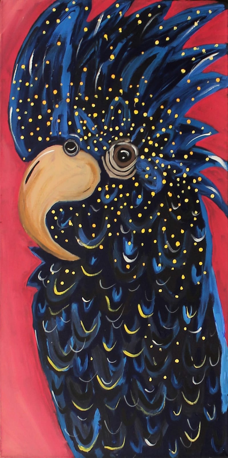 Cherylyn Napangardi Granites, Jurlpu Kuja Nyinami Yurntumu-wana (Birds That Live Around Yuendumu), 2024