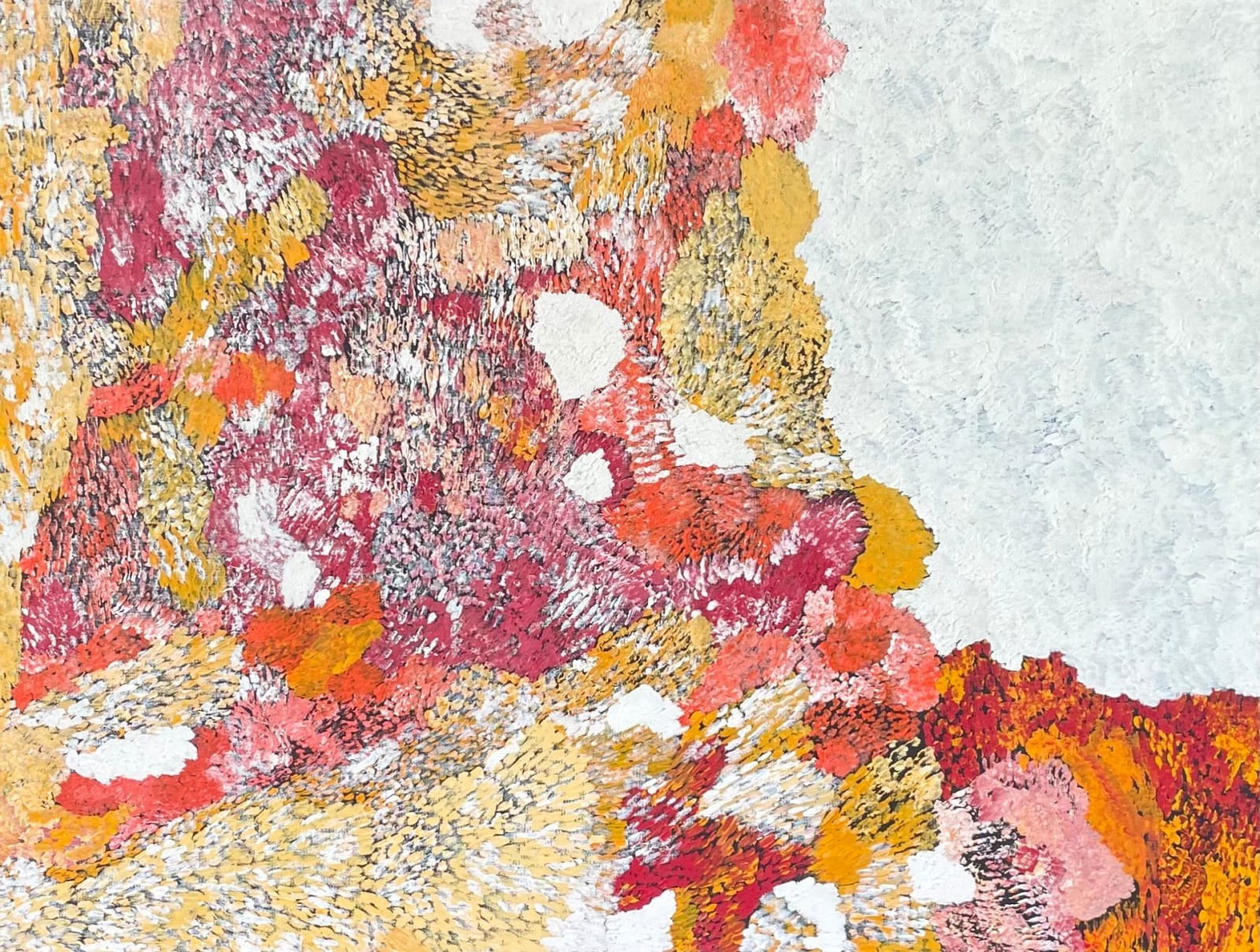 Amanda Jane Gabori, Ninyilki, 2010