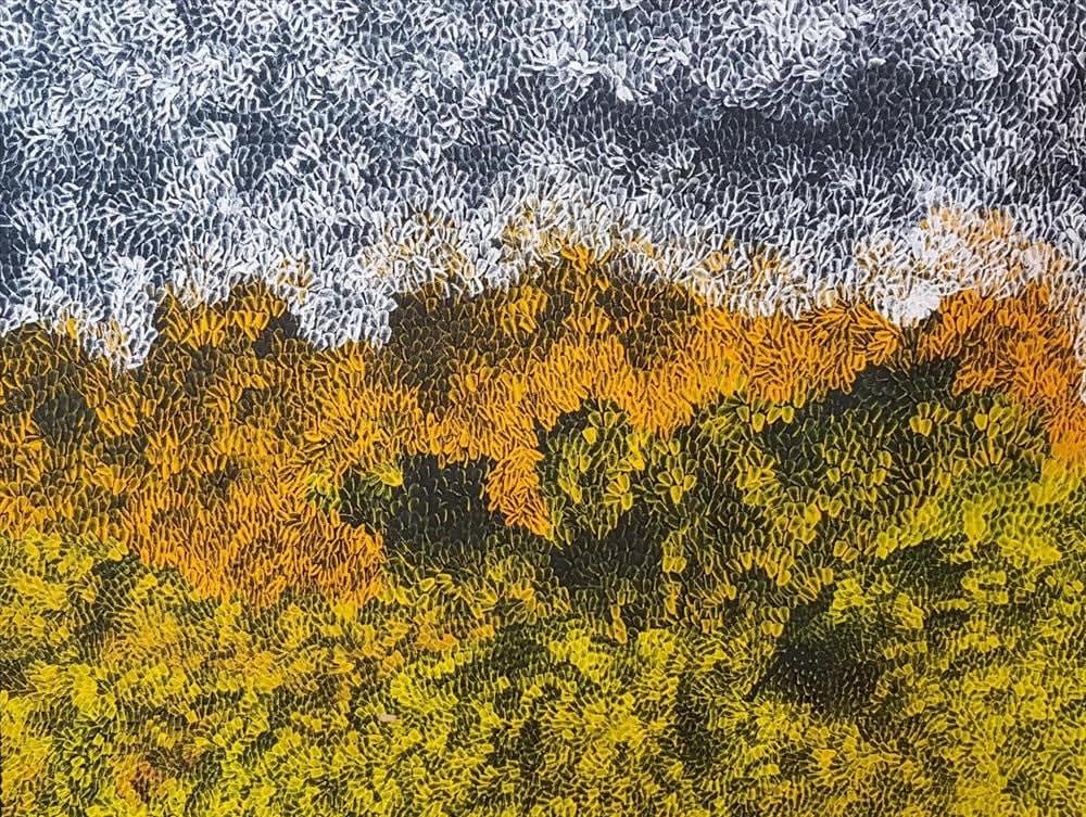 Amanda Jane Gabori, Dibirdibi Scales, 2018