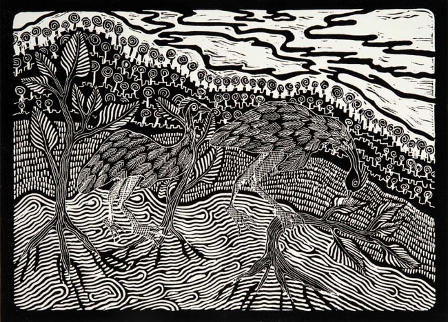 David Wright, Emus at Mutawindji , 2017