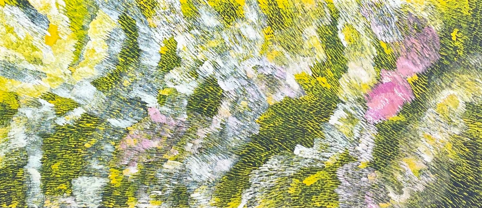 Amanda Jane Gabori, Dibirdibi Scales, 2010