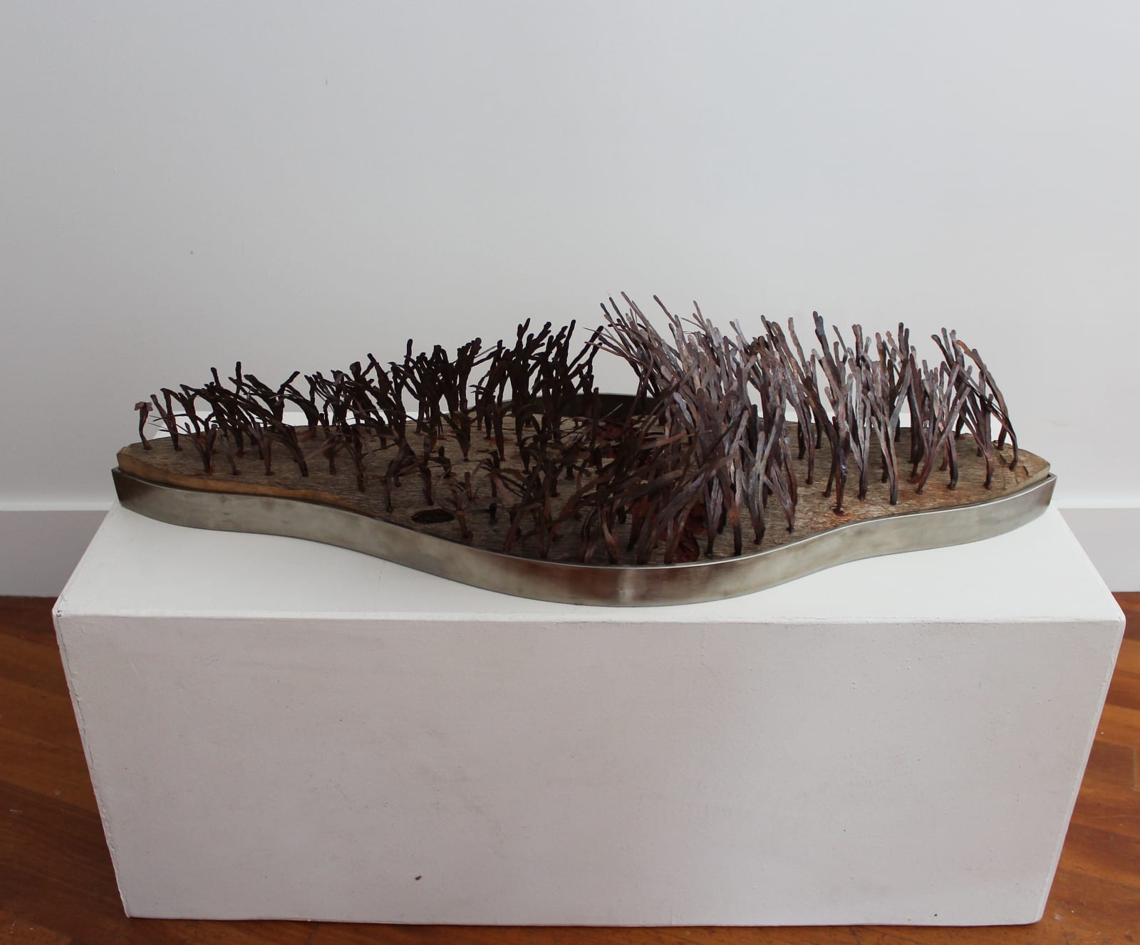 Dominic White, Shield Reef, 2016