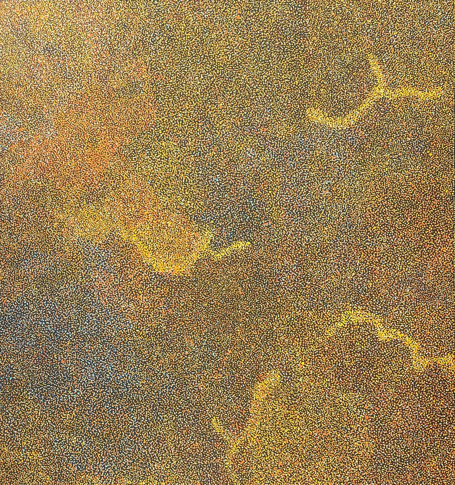 Caroline Petrick Ngwarreye, My Beautiful Country, 2025