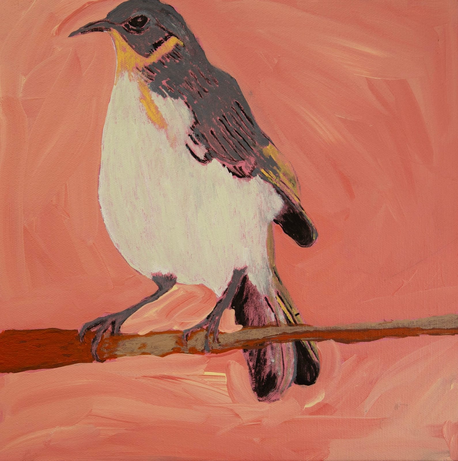 Jeffrey Lewis, Jeffrey's Birds, 2022