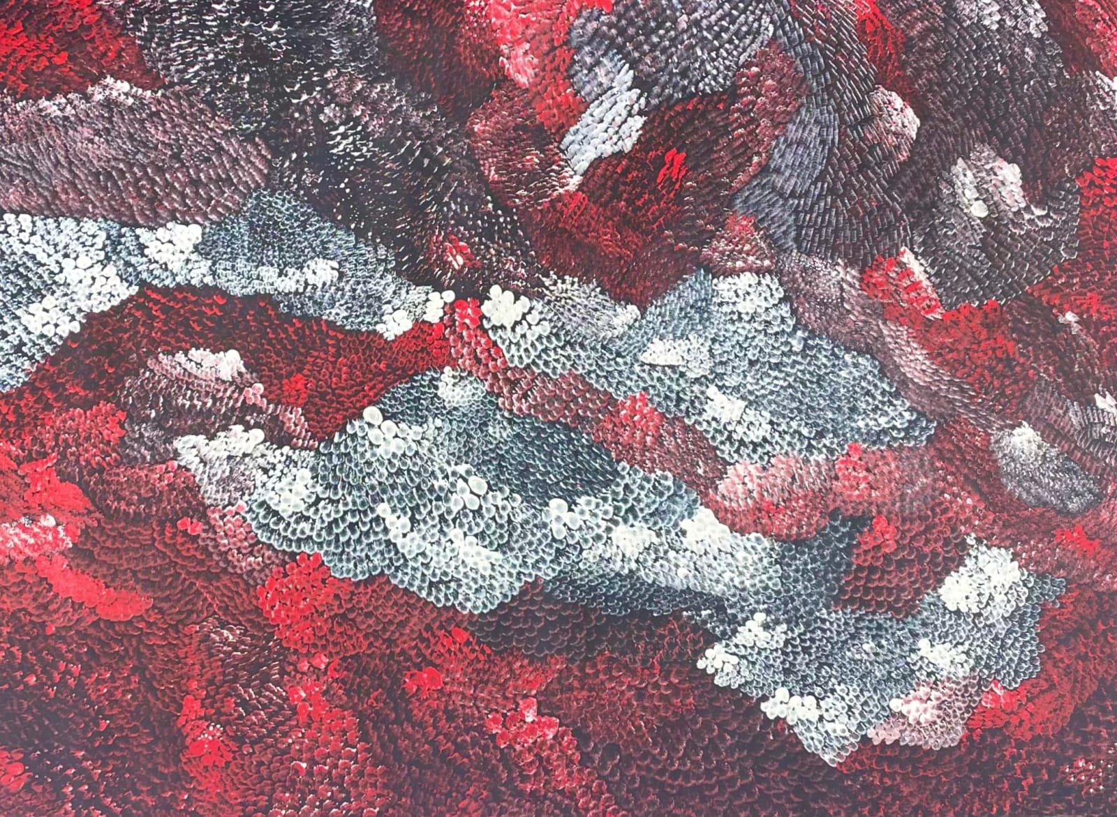 Amanda Jane Gabori, Dibirdibi Scales, 2011