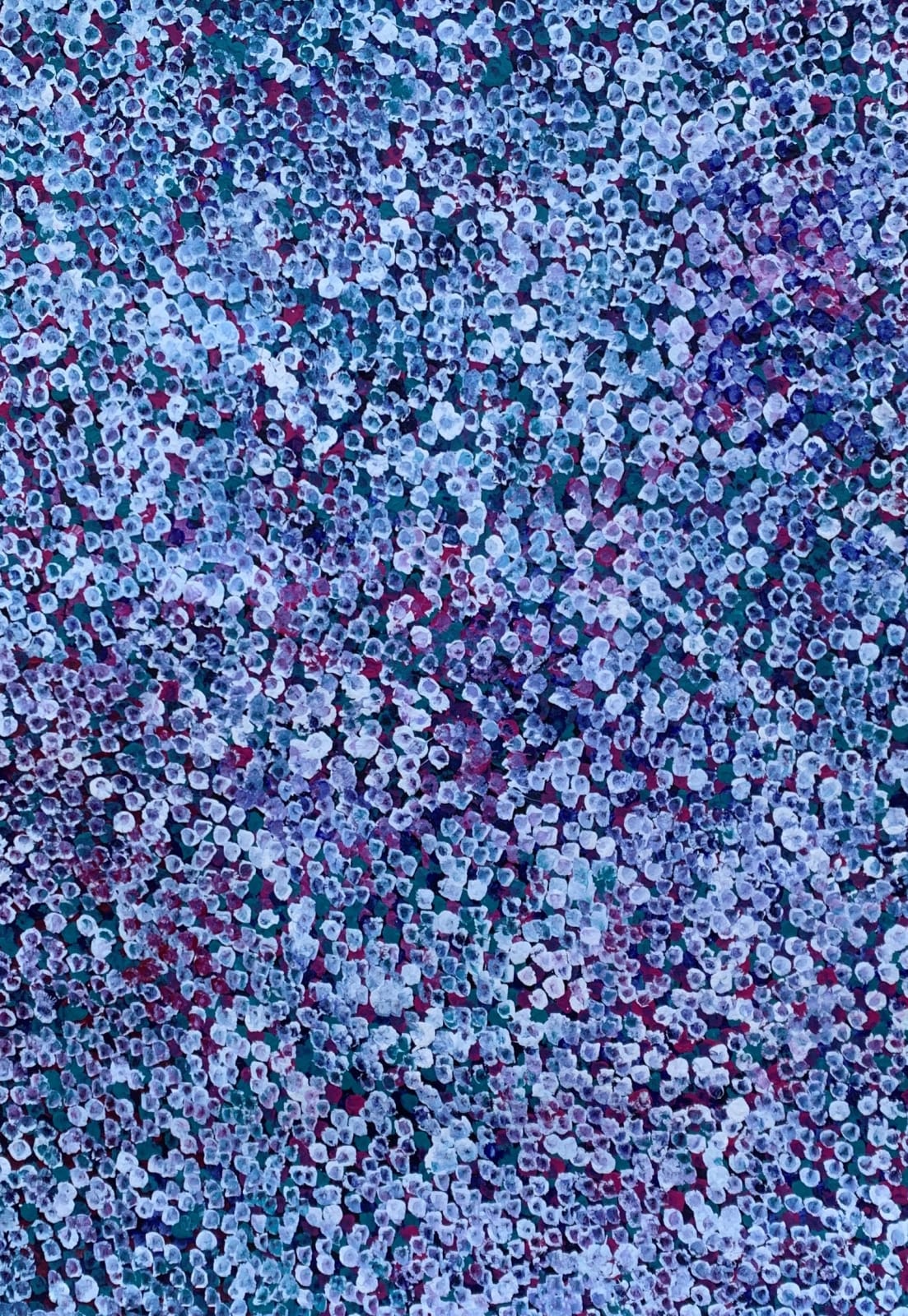 Bessie Petyarre, Bush Plum, 2021