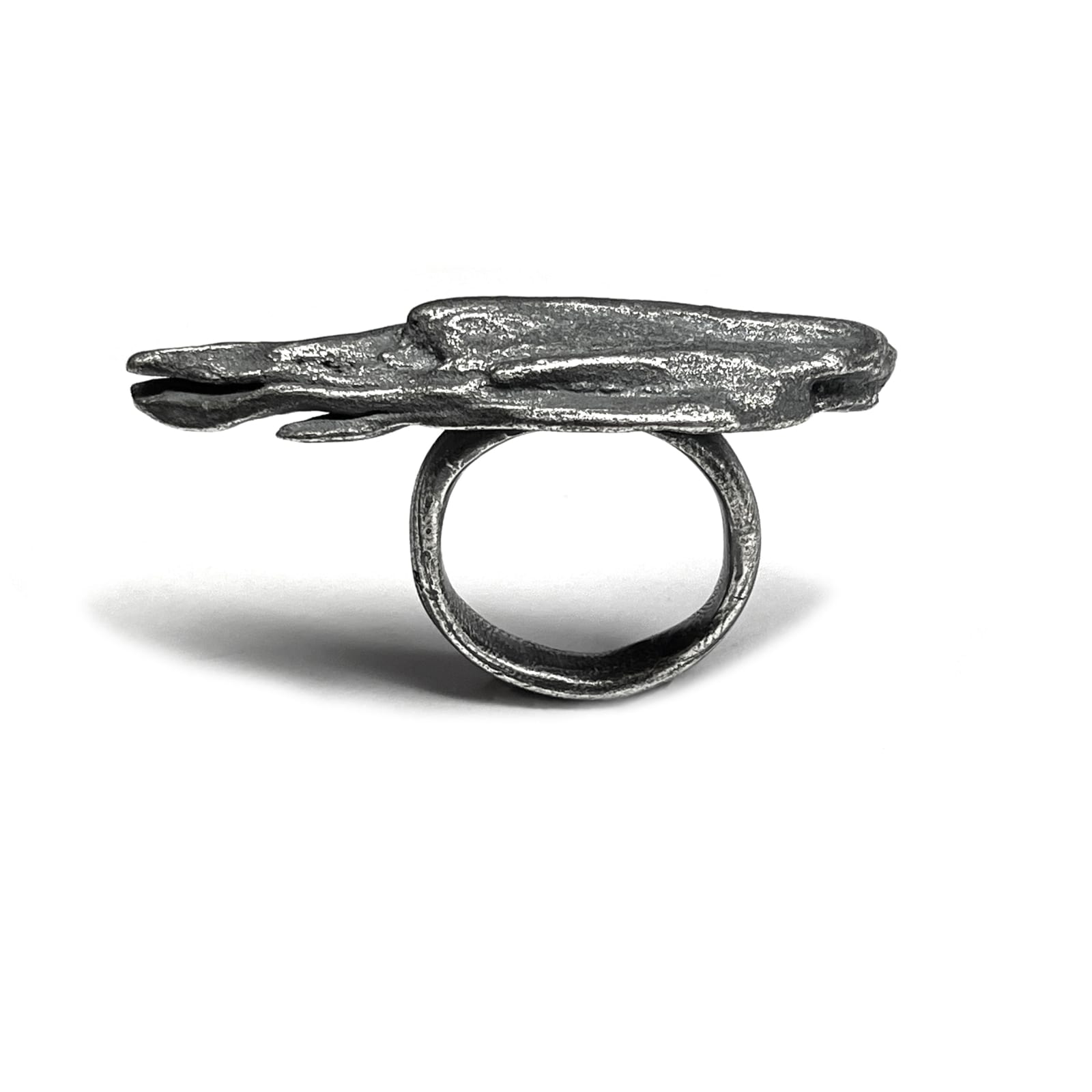 Melinda Young, Drift Series - Long Ring (Gumbaynggirr Country/Dharawal Country, NSW), 2021/2024