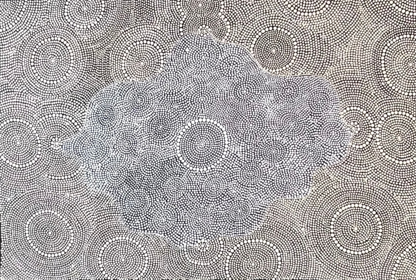 Nardia Napurrurla Stafford, Ngurlu Tjukurrpa (Native Seed Dreaming), 2022