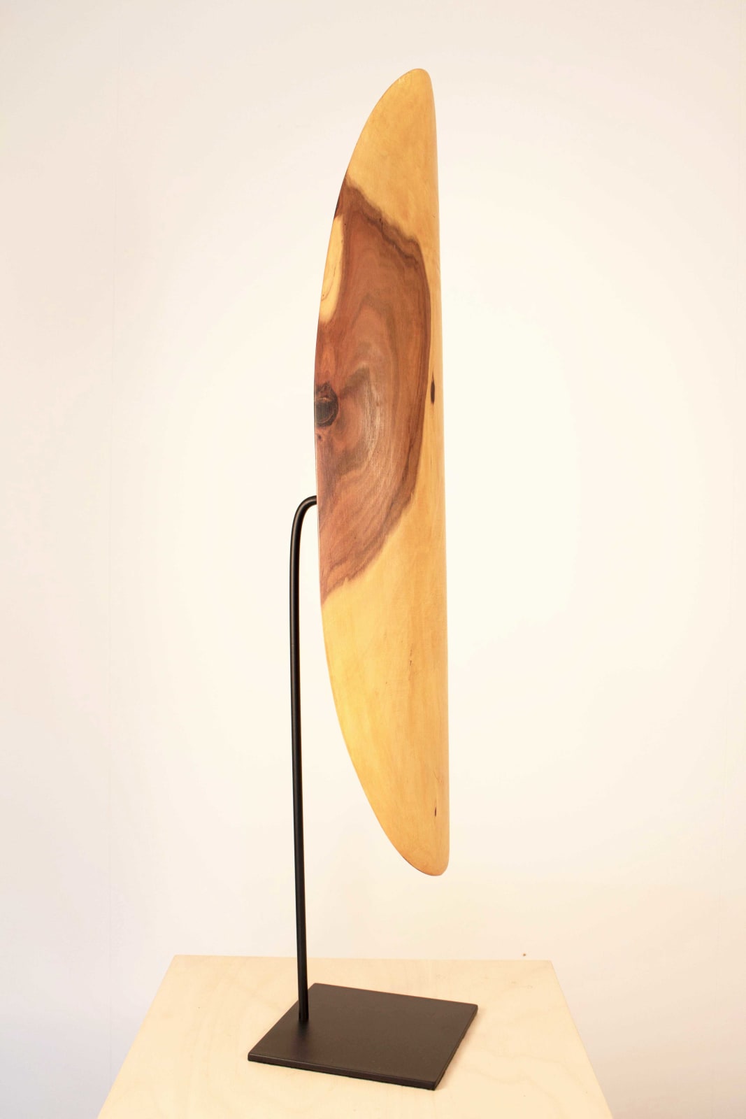 Errol Evans, Tjara - Shield, 2018