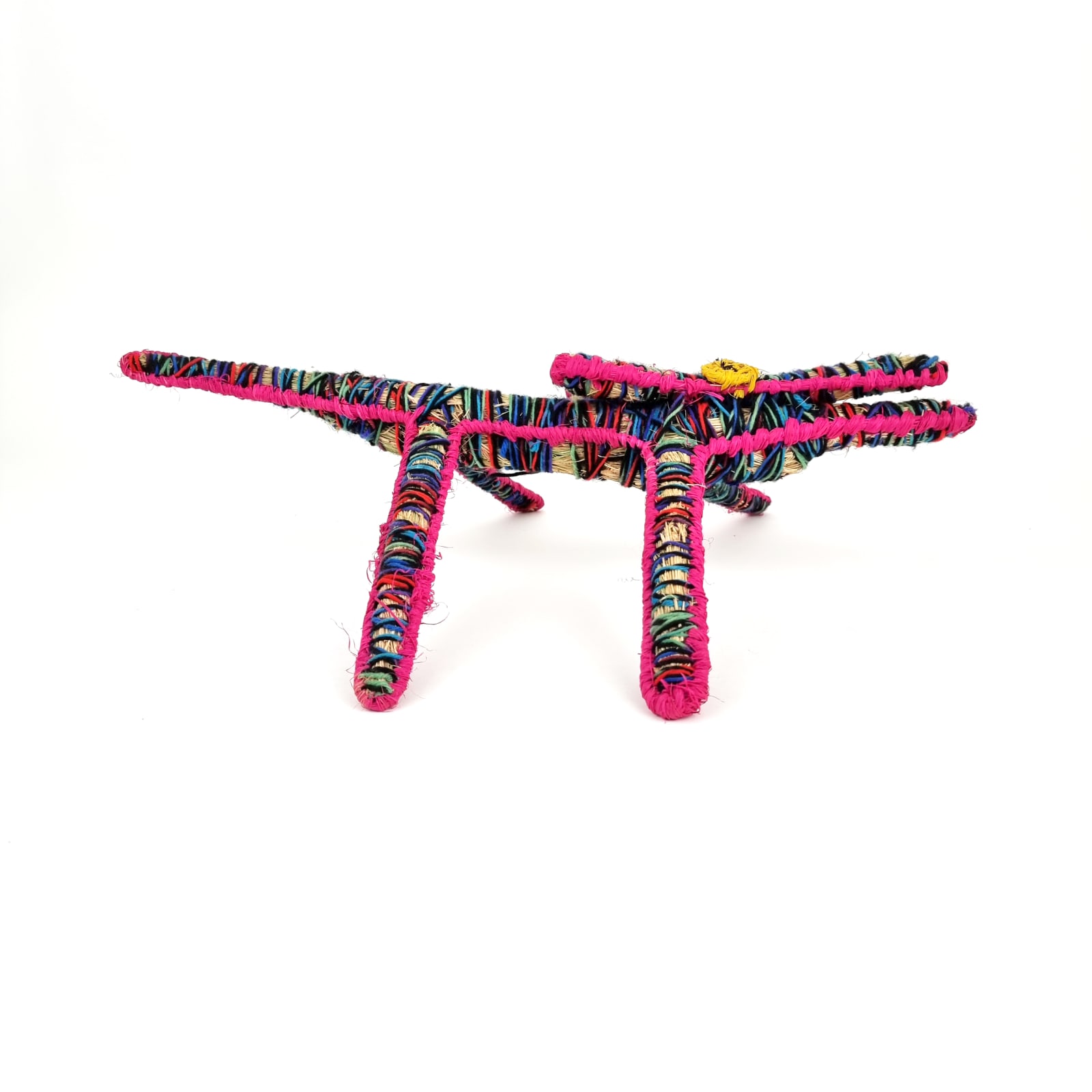 Antoinette Williamson, Papa (Dog), 2022