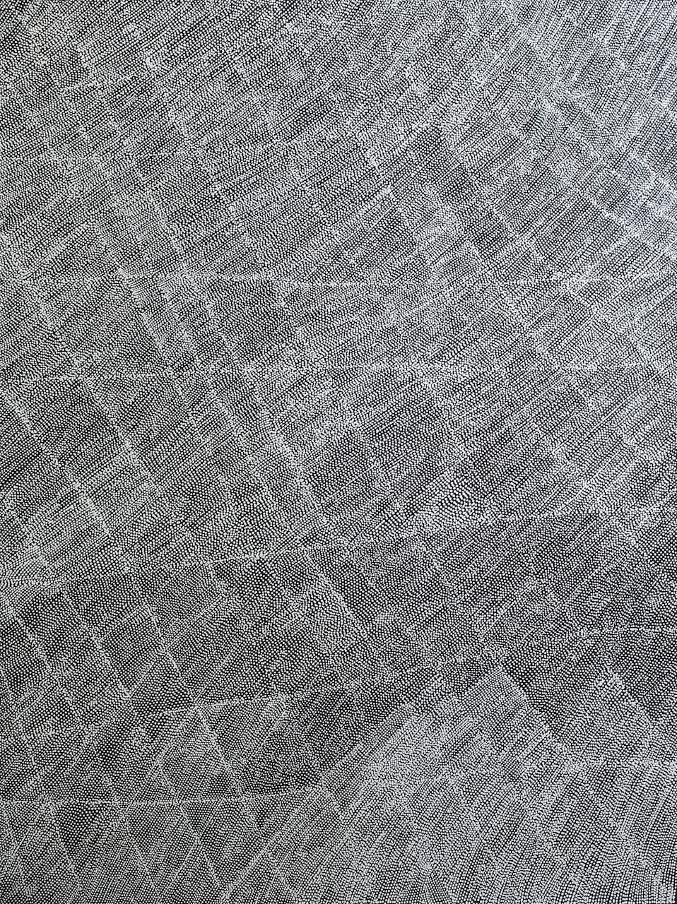 Lizzie Moss Pwerle, Dancing Lines, 2023