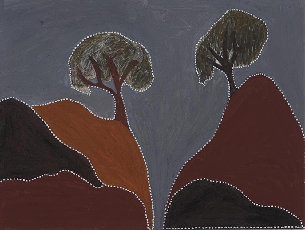 Gordon Barney, Birnoo Country , 2020