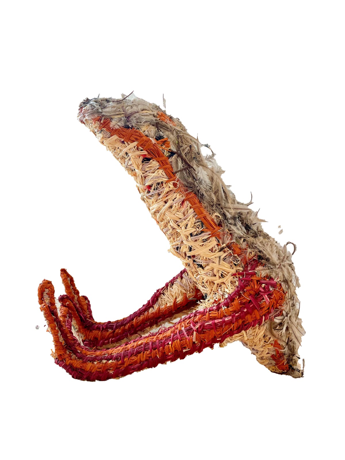 Tjunkaya Tapaya, Tawny Frogmouth
