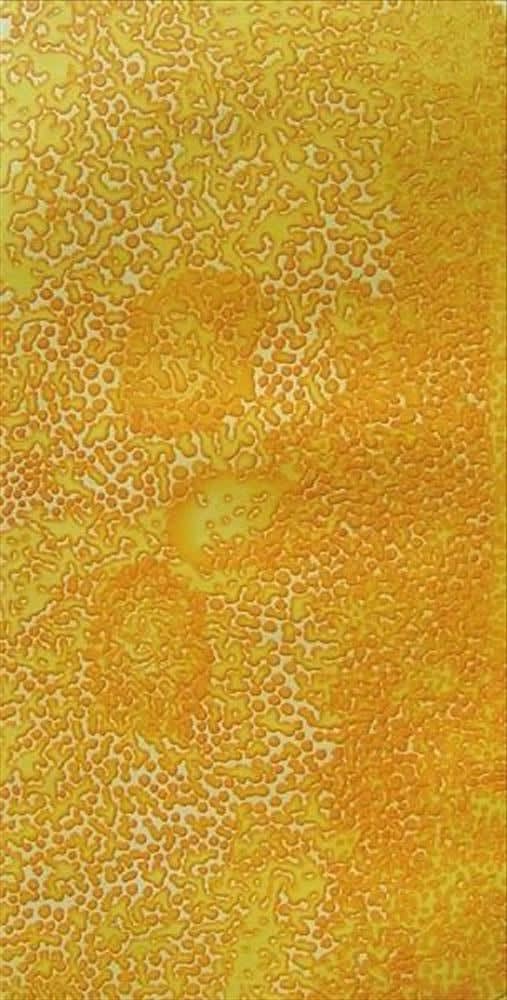 Lucy Yukenbarri, Winpurpula , 2005