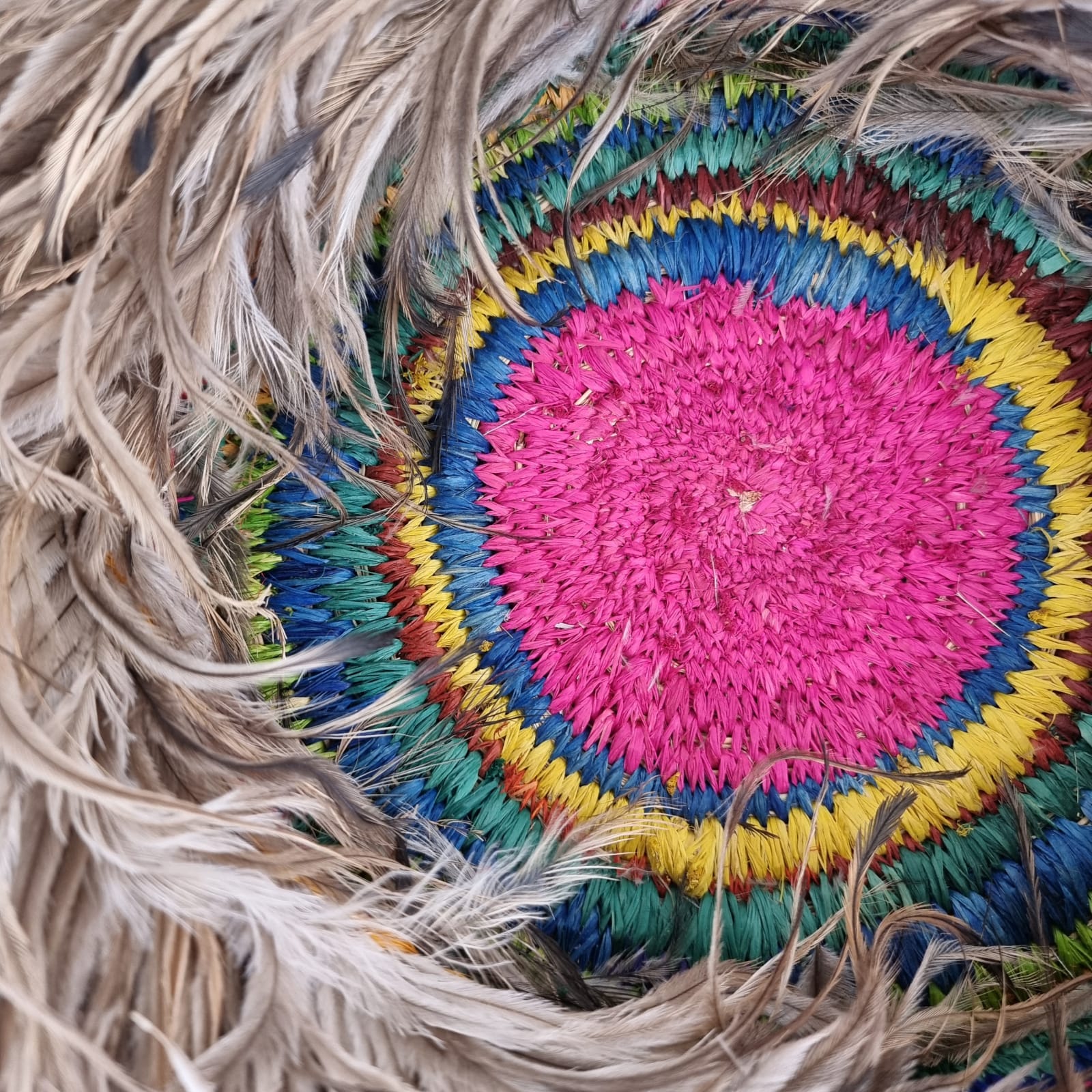 Michelle Mattassia, Basket, 2022