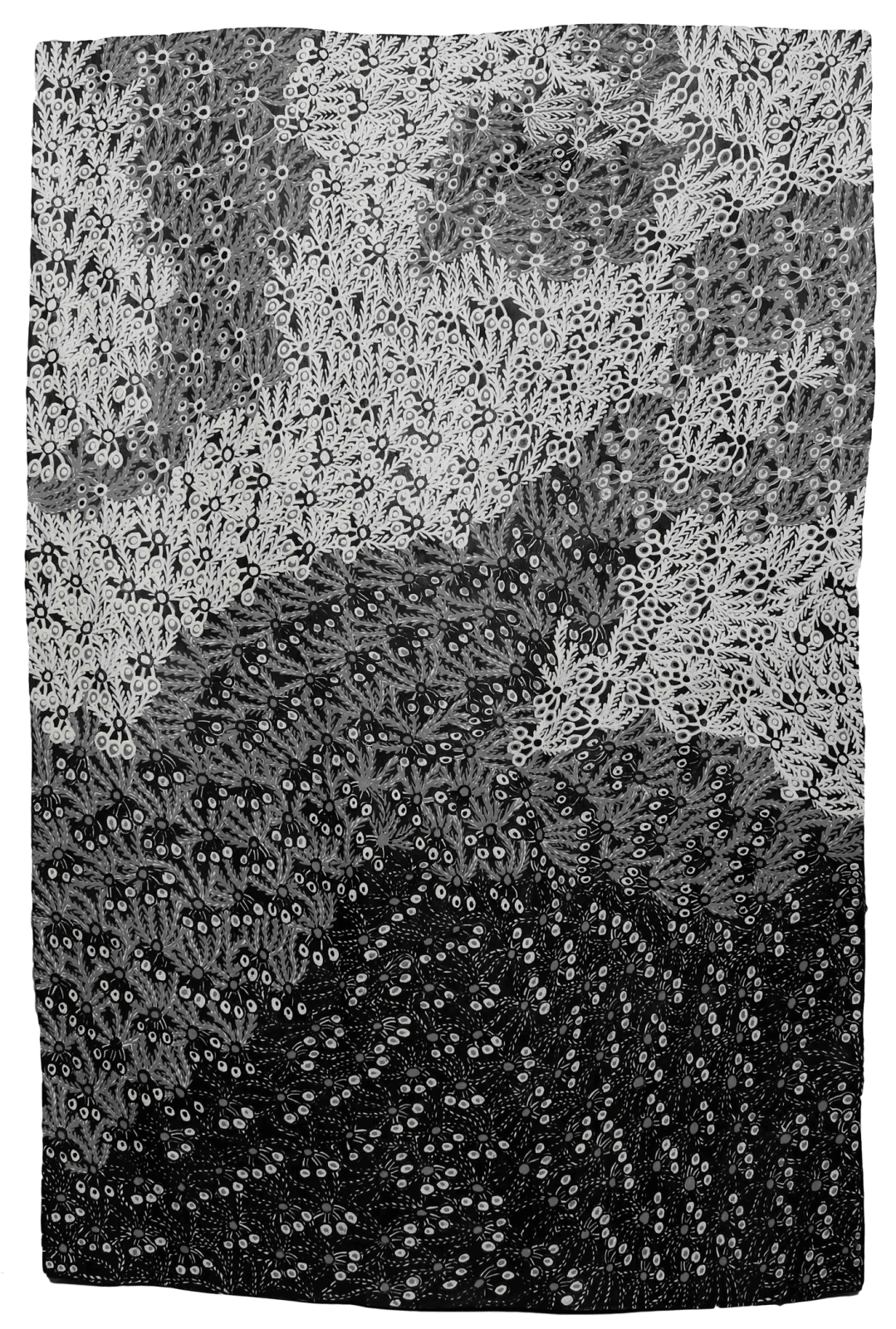 Muluymuluy Wirrpanda, Buḻwutja, 2020