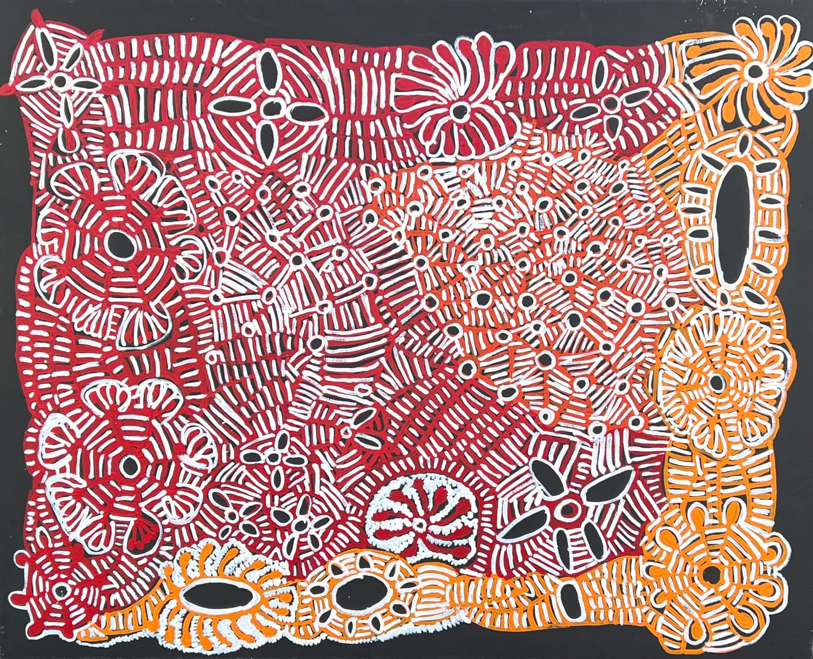 Doris Bush Nungarrayi, Kapi Tjukitji & Bush Mangarri Tjuta, Nyunmanu, 2019