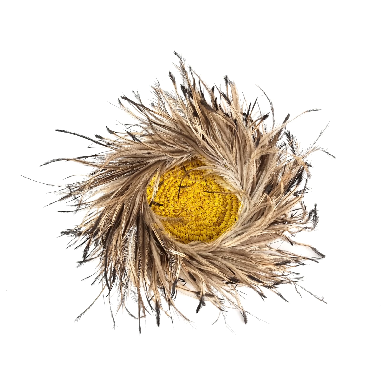 Ngoi Ngoi Donald, Basket, 2022